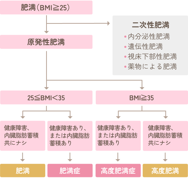肥満症診断フローチャート